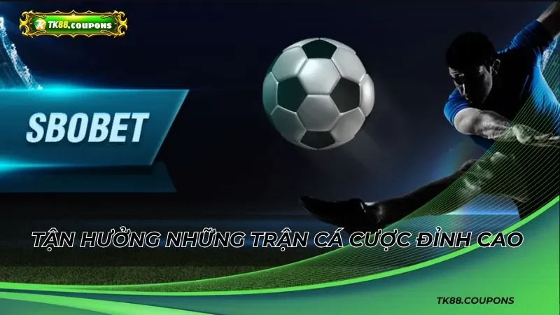 Tận hưởng những trận cá cược đỉnh cao cùng Sbobet TK88